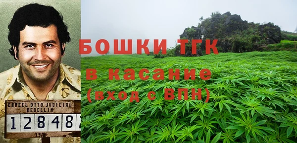 прущий лед Алзамай