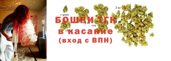 гидра Алексин