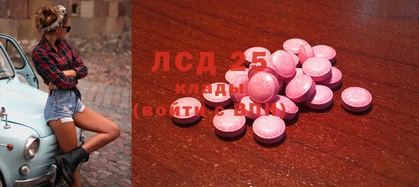 прущий лед Алзамай