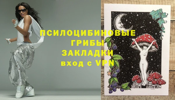 прущий лед Алзамай
