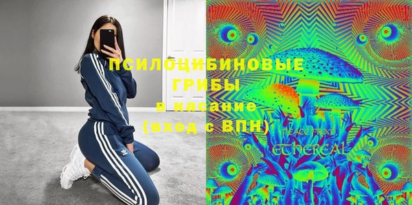 прущий лед Алзамай