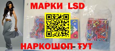 шишки Кандалакша