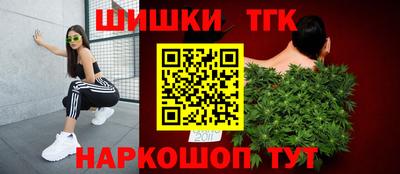шишки Кандалакша