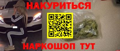 шишки Кандалакша