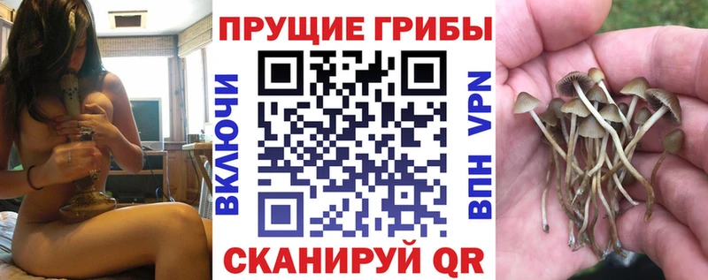 купить   Можга  Псилоцибиновые грибы мухоморы 