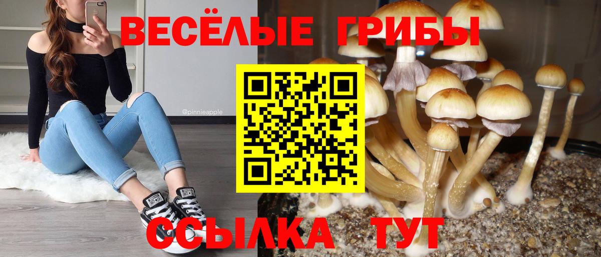 Псилоцибиновые грибы GOLDEN TEACHER Можга